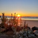 Sunrise Ogunquit Beach