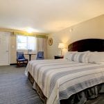 King Bed Studio